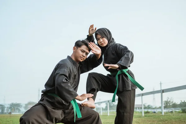 Pencak Silat